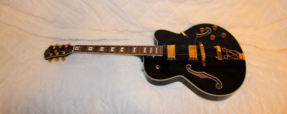 chitară electrică  hollow-body J&D SA-10 BK