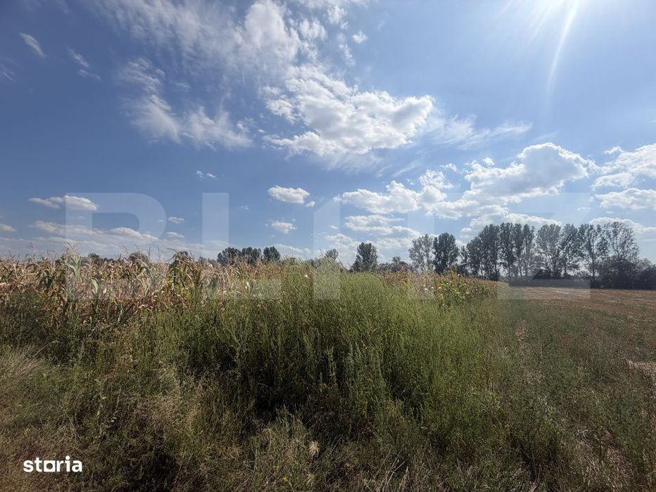 Teren extravilan, in suprafata de 9000 mp
