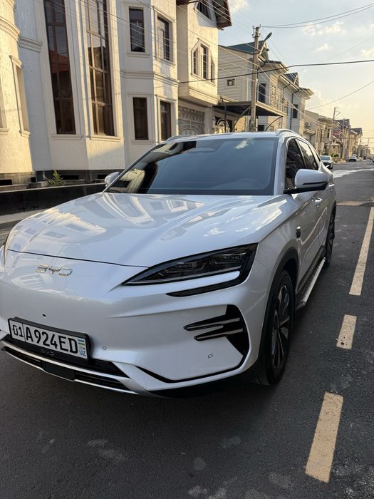BYD chempion smart 2025