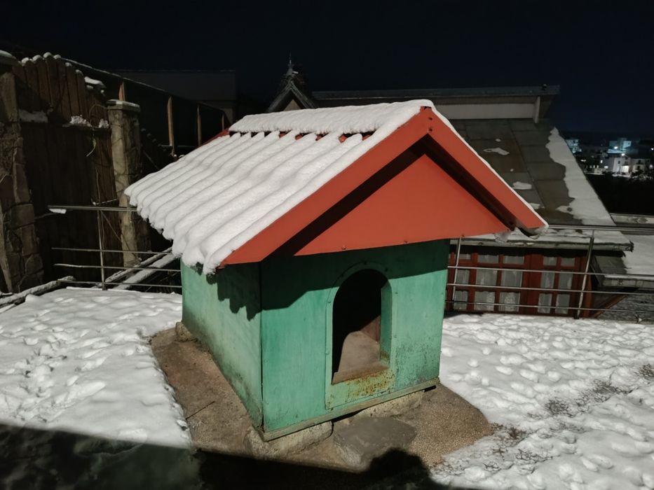 Cușca de câine talie mare