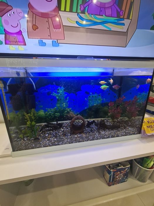 Аквариум с плъзгащ капак 50л