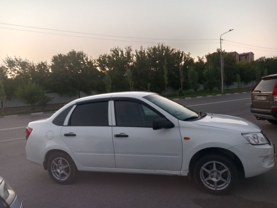 Продам живую гранту