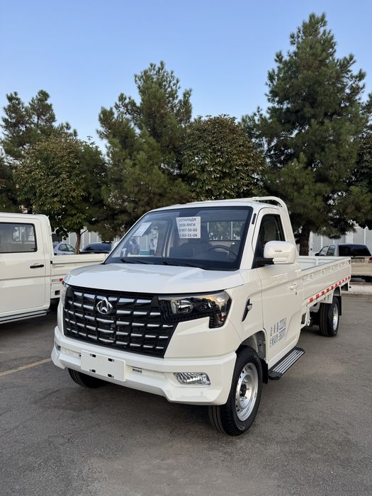 2026. Changan star puls