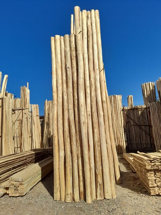 Terak to'sin mahsulotlari