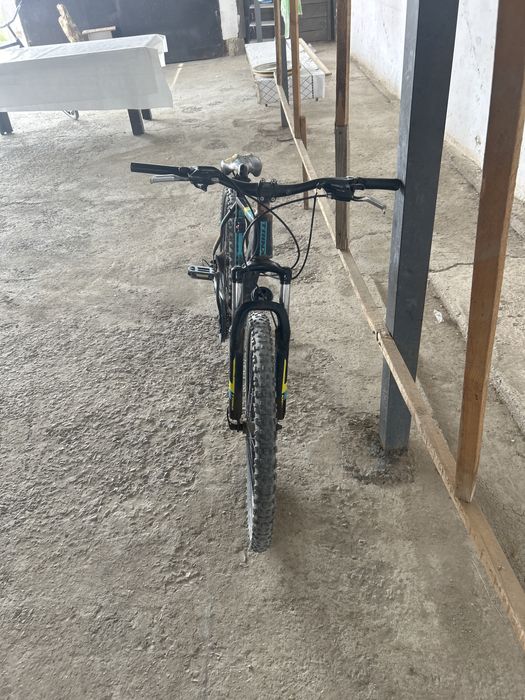 велик горный сост.жаксы