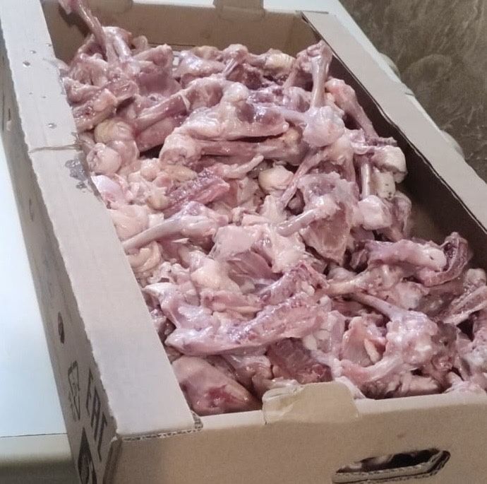 Куринные кости от окорачка