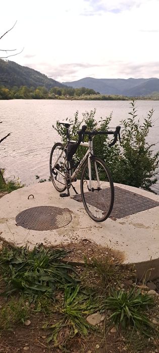 Bicicleta semi-cursiera Felt