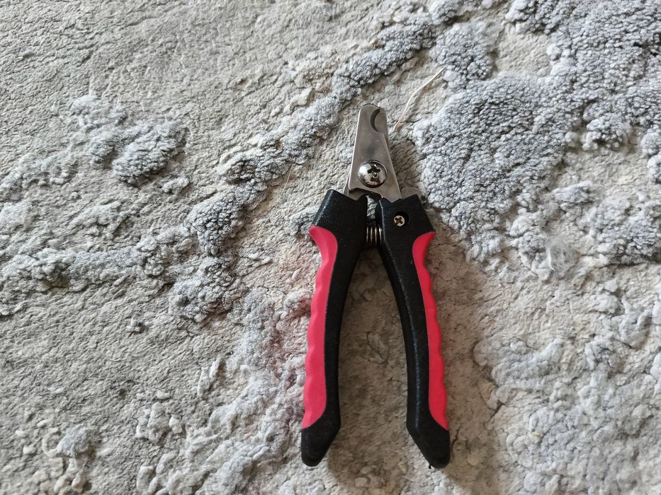 Когтестрижка и антицарапки для кошек