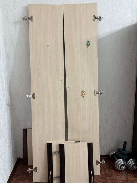 Дверцы  для шкафа-ниши