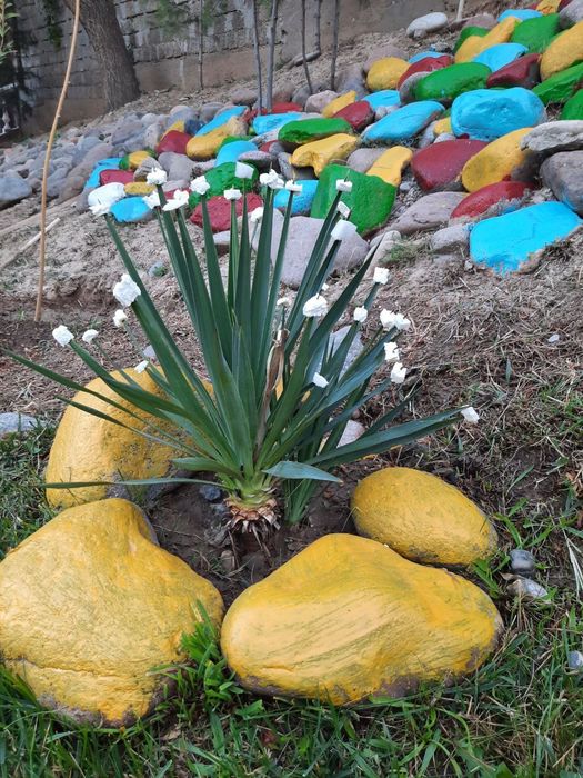 Продам дачу для гоуглогодичного проживания.