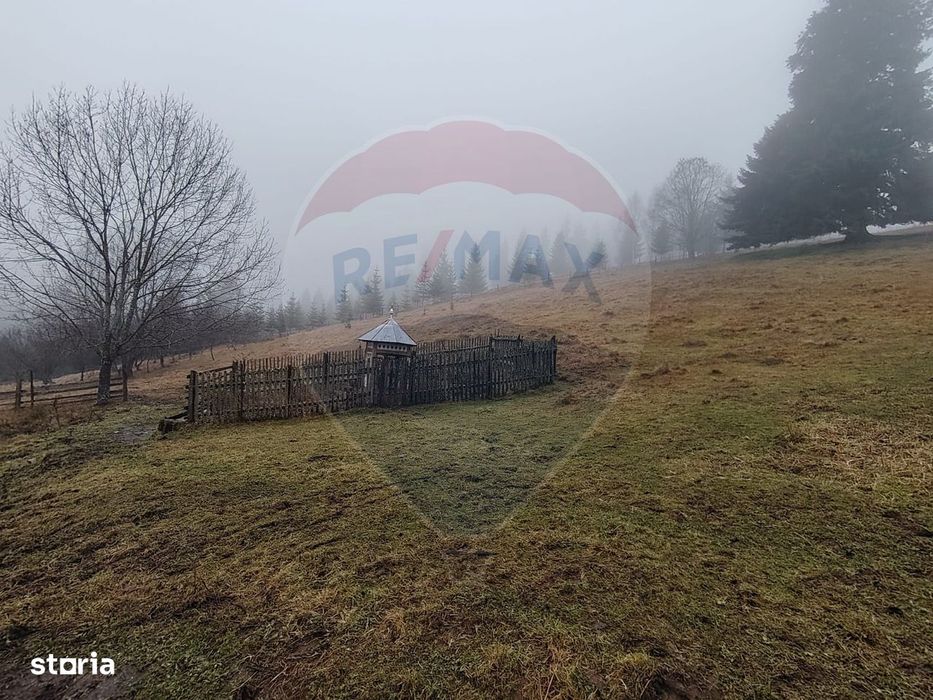 Teren intravilan 26232m.p. Dorna-Arini / Cozănești