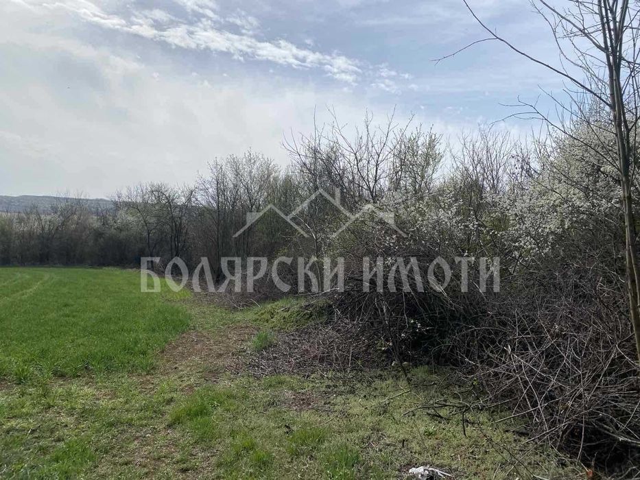 Продава се Парцел в с. Русаля, Област Велико Търново - 1787 кв.м за 5 €/кв.м - Снимка #1