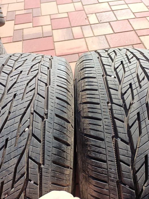 Nyárigumi Continental