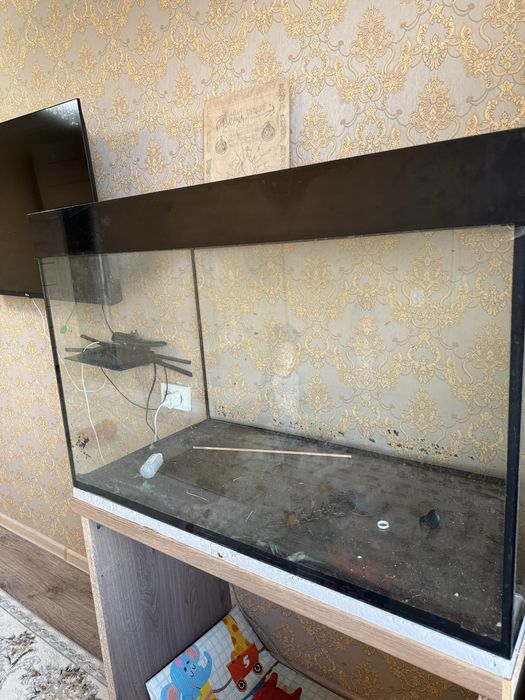 Аквариум 250 л с тумбой вместе