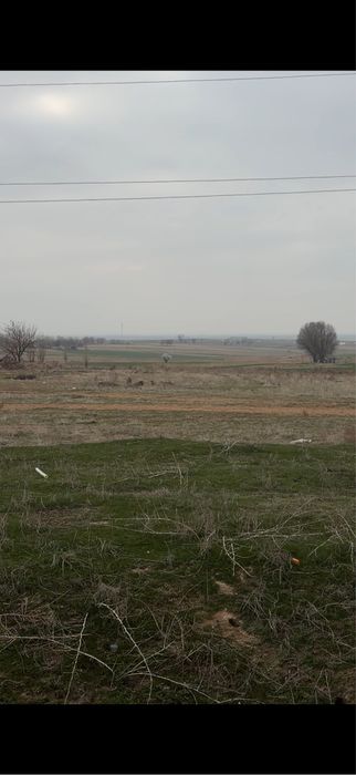 Nazarbekda yer sotiladi, 180 sotix