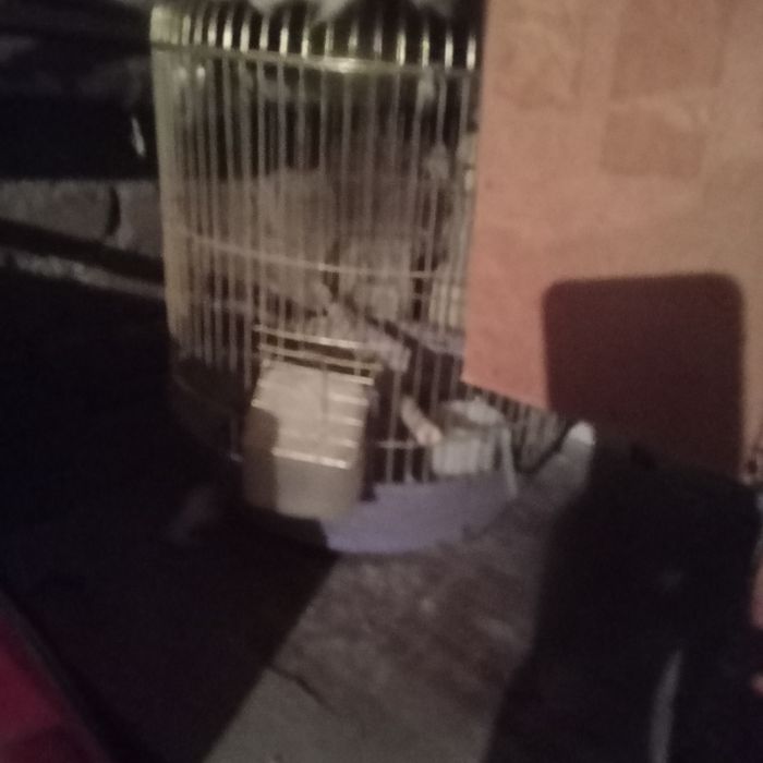 Продоютса клетки для птиц