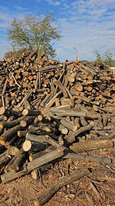 Vand lemn foc , zona Copsa Mica