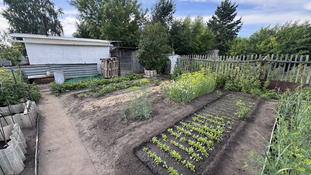 Продам Дачу 10 соток с/о «Ракета»