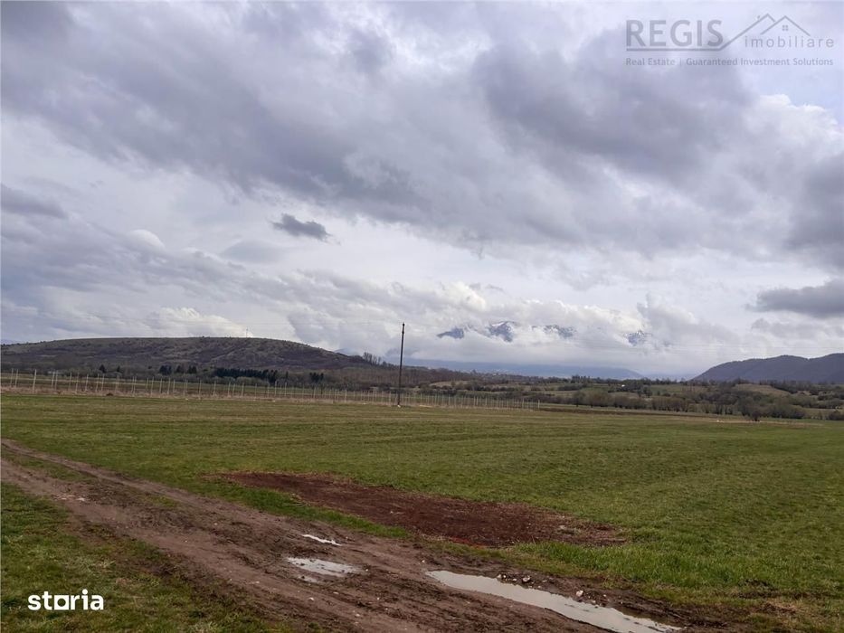 Teren constructii, 2396mp, front 19ml-Zarnesti