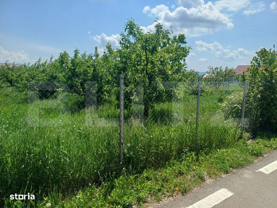 Teren de vanzare intravilan, 72 ari, zona Salcea