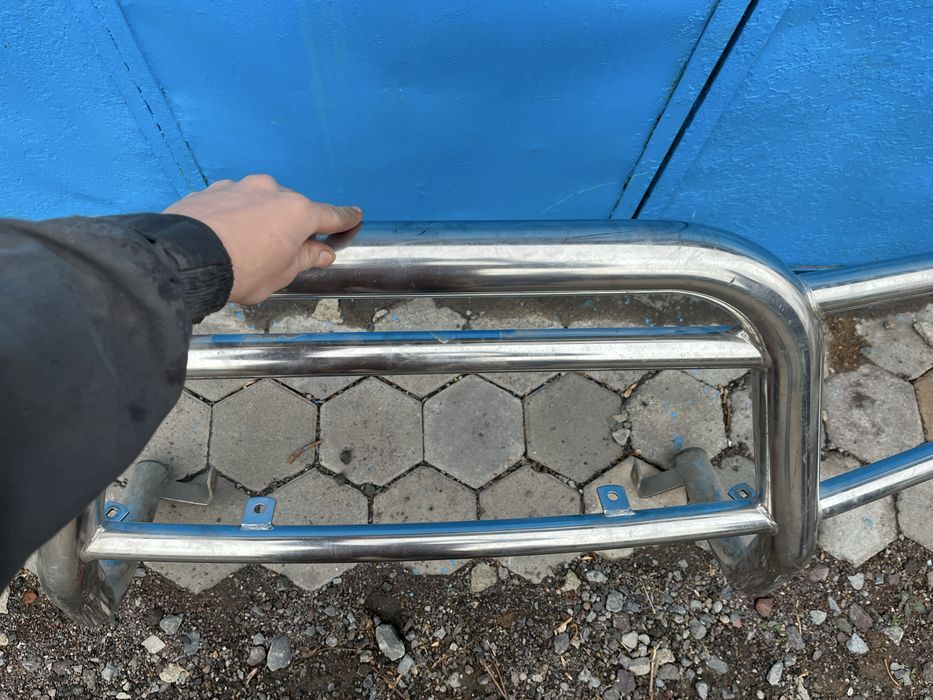 Кенгурятник Япониия