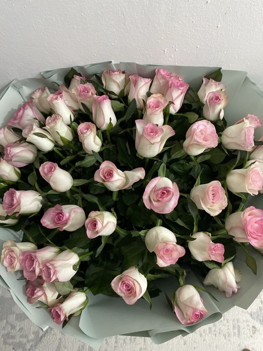 розовые розы, 51штук
