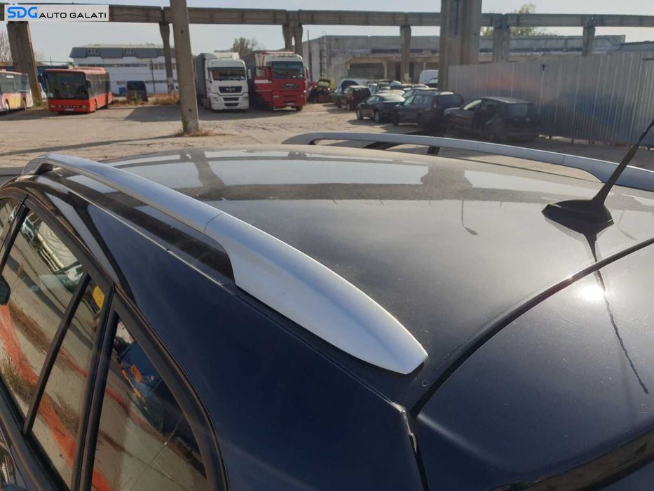 Plafon Tavan Caroserie Tabla Renault Megane 3 Grandtour Break Combi 2008 - 2015 Culoare TEGNE