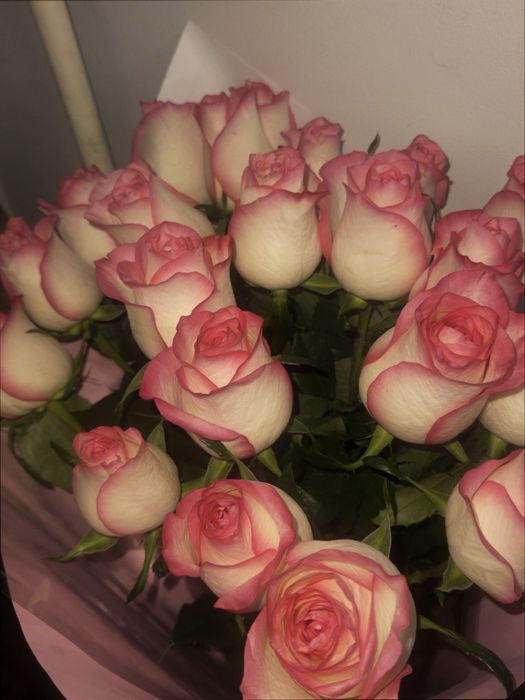 Продам б/у цветы-21 шт, длинные стебли.