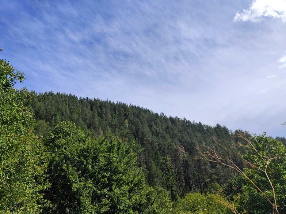 Продава се Парцел в Троян - 600 кв.м за 17 €/кв.м - Снимка #4