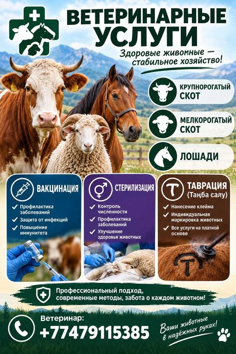 Ветеринарные услуги