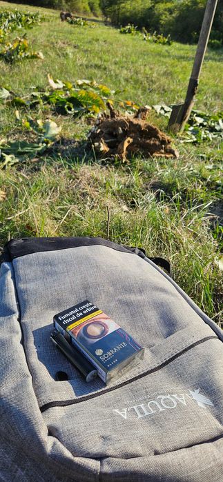 Hrean Proaspăt Scos