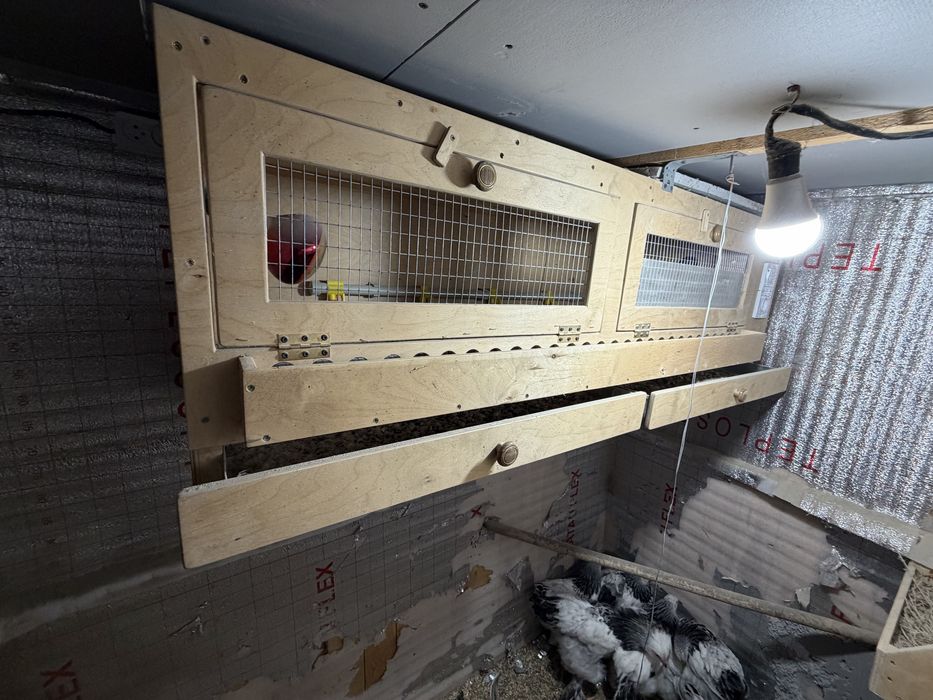 Толық автоматтандырылған брудер сатылады