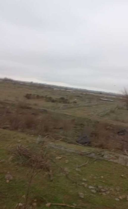 Ферма 12 га (Куйичирчик, Чиназ, Аккурган)