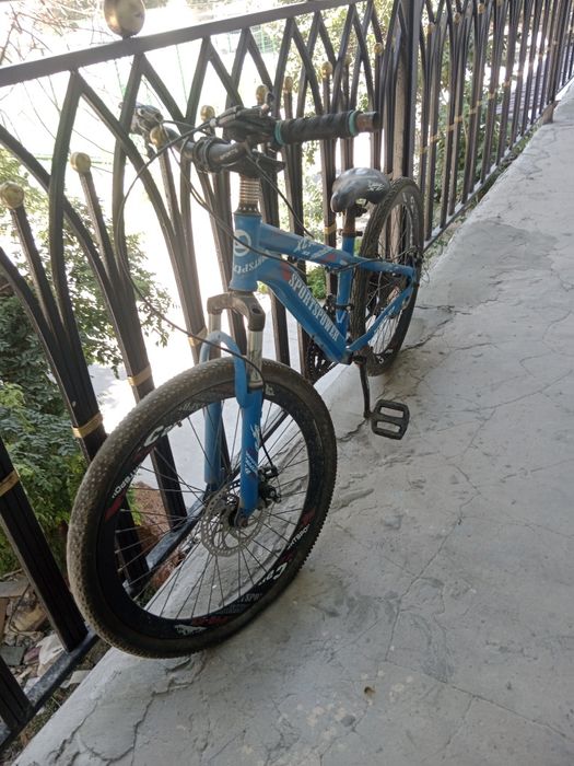 Велик оригинал из европы