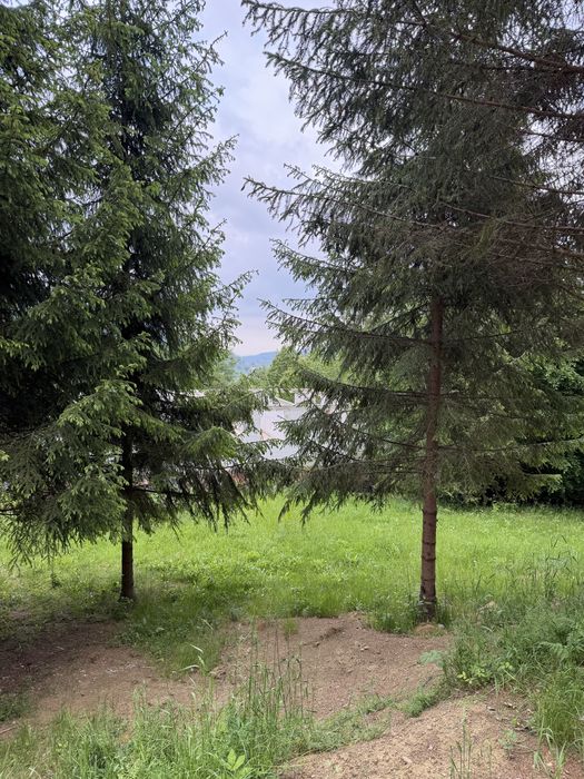 Teren Sucevita intravilan 2700