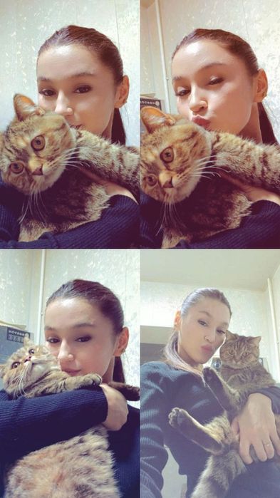 Пристройство в хорошие руки