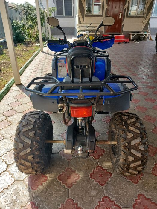Квадроцикл гризли 200