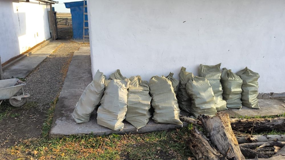 Продам дрова в мешках