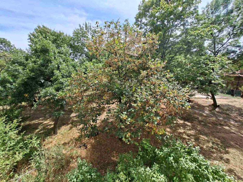 Дава се под наем Двустаен апартамент в София, Западен парк - 67 кв.м за 510 € - Снимка #8