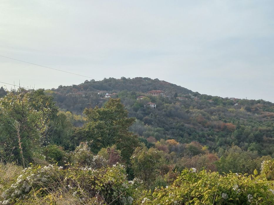 Топ парцел Тетевен- Рибарица