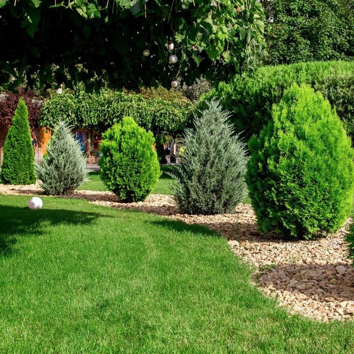 Amenajări grădini & întreținere spații verzi în Bacău