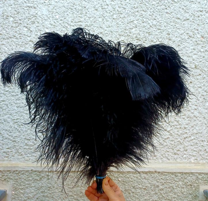 Pene de struti de vanzare