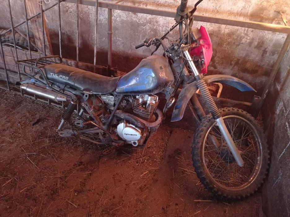 Vivo v25 pro оригинал