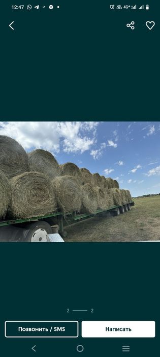 Ролон шөп сатылады