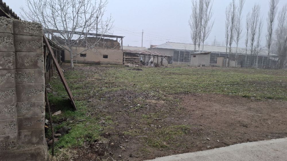 Yer sotiladi 5 sotix