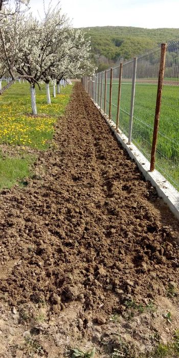 Teren 5.000 mp la DJ asfaltat – intravilan + extravilan.