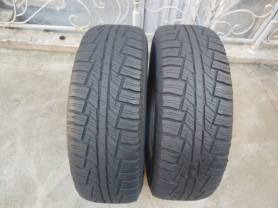 245 70 R16 Shina Rossava 2 dona