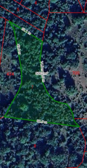 Гора 55 дка, с.Долна Бела речка, общ.Вършец