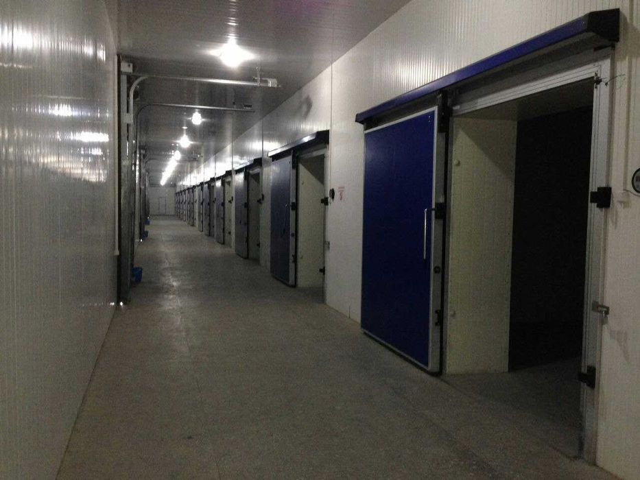 Строительство промышленных Холодильных камер и складов.