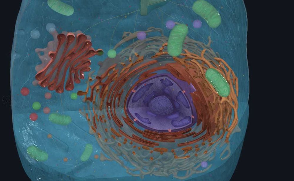 Meditatii biologie admitere Medicina Bucuresti/ Brasov